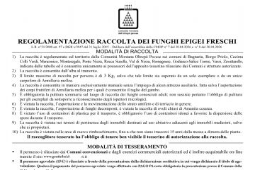 Raccolta funghi epigei 2026
